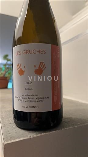 Valle della Loira Claire et Florent Bejon Les Gruches 2022