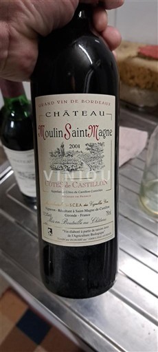 Burdeos Castillon-costas-de-burdeos Château Moulin Saint Magne 2001 2001