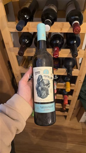 Galicia Rías Baixas Ponteilón 2021