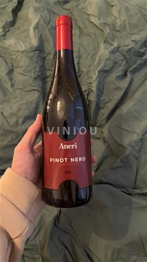 Abruzzo Wines Pinot Noir Aneri 2021
