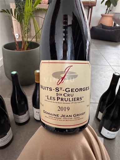 Bourgogne Nuits-Saint-Georges Premier Cru Domaine Jean Grivot Les Pruliers 2019