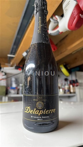 Katalonien Cava Delapierre Etiqueta Negra Icke årgångsbetecknad