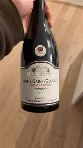 Burgundi Nuits-saint-georges Premier Cru Domaine Berthaut-Gerbet Les Chabœufs Premier Cru 2022
