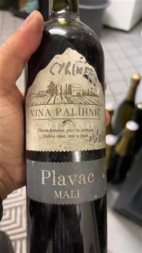 Dalmatië Niet gespecificeerd Vina Palihnic Niet-geïntegreerd