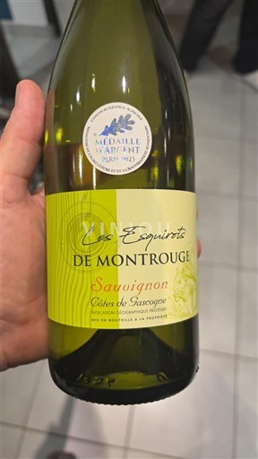 Zuidwest-Frankrijk Côtes de Gascogne Les Esquirots de Montrouge Niet-geïntegreerd