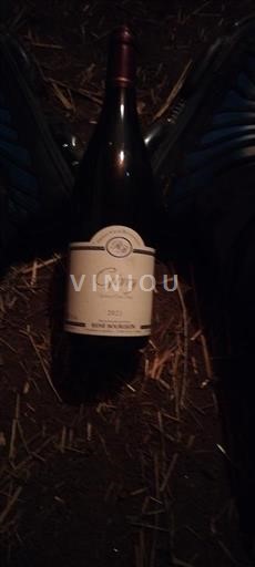 Бургундія Гіврі René Bourgeon 2021