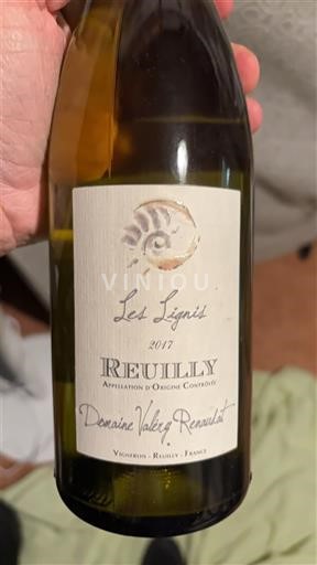 Dolina Loare Reuilly Domaine Valéry Renaudat Les Lignis 2017