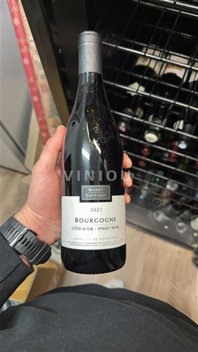 Bourgondië Bourgogne Côte d'Or Morey-Coffinet Côte-d'Or - Pinot Noir 2021
