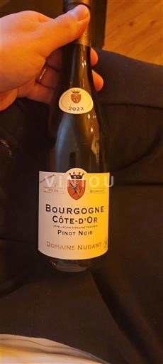 Burgund Burgund Côte d'Or Domaine Nudant Pinot noir 2022