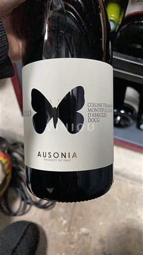 Abruzzerne Montepulciano d'Abruzzo Colline Teramane Ausonia Apollo 2021