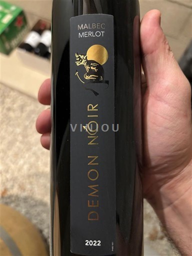 Sydvestfrankrig Côtes du Tarn Demon Noir 2022