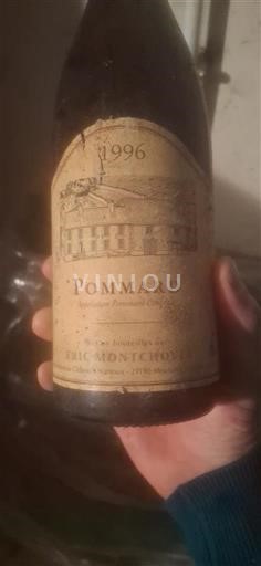 Bourgogne Pommard Domaine Eric Montchovet 1996