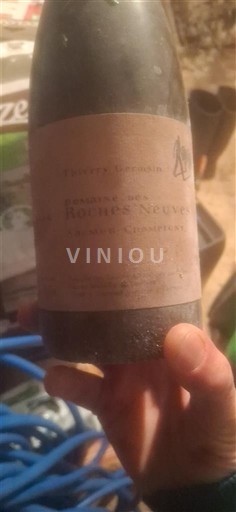 Vallée de la Loire Saumur-champigny Domaine S Roches Neuves Terres Chaudes 2004