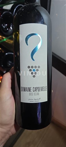Südwestfrankreich Côtes de Gascogne Domaine Capdevielle Brise Océane 2021