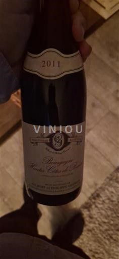 Bourgogne Domaine Sylvain Loichet 2011