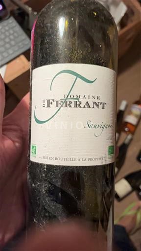 Lounais-Ranska Côtes-de-duras Domaine Ferrant Sauvignon Ei vuosikertaa