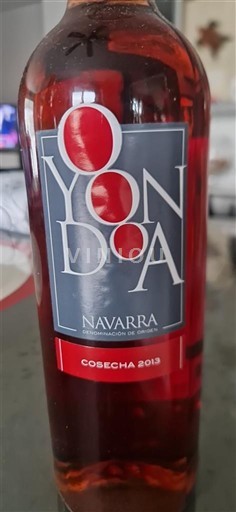 Navarra Oyondoa 2013