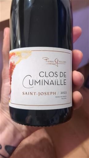 Rhône-dalen Saint-Joseph Pierre Gaillard Clos de Cuminaille 2023