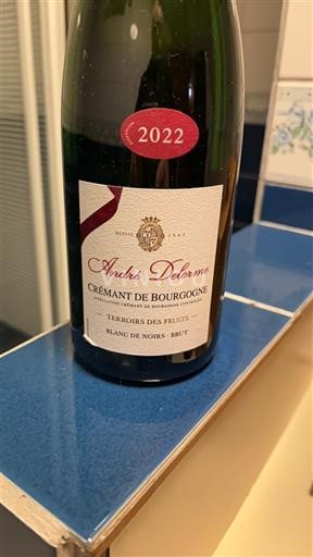 Bourgogne Crémant de Bourgogne André Delorme Terroirs des Fruits 2022