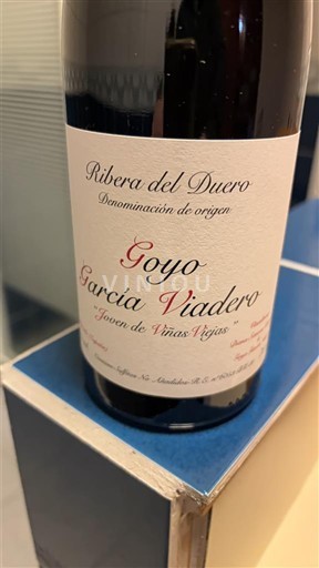 Castille et León Ribera del Duero Goyo Garcia Viadero Joven de Viñas Viejas 2021