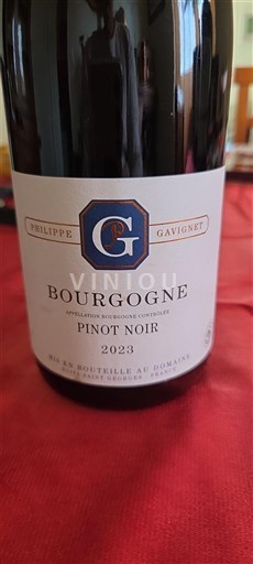Bourgogne Philippe Gavignet 2023