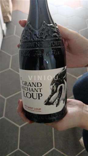 Langvedok Pic-saint-loup Villa Saint Loup Le Grand Méchant Loup 2022