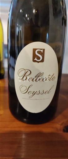 Savoja in Bugey Seyssel Bellecôte Neleten.