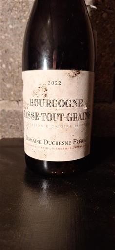 Bourgogne Bourgogne-passetoutgrain Domaine Chesne Frères 2022