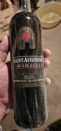 Oranie Monts du Tessala Saint-Augustin Monts du Tessala 2017