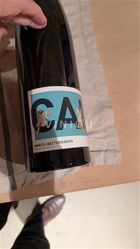 Moselle Mosel Immich-Batterieberg CAI 2017