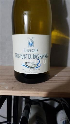 Vin Blanc sec Vignoble Drouard 2023 France Vallée de la Loire Gros-plant-du-pays-nantais AOC