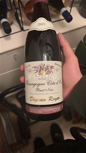 Bourgondië Bourgogne Côte d'Or Digoia-Royer 2023