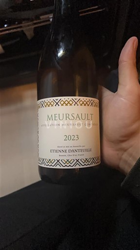 Bourgogne Meursault Etienne Danteuille 2023