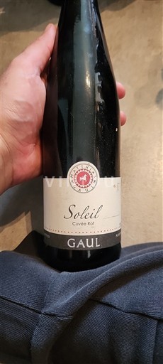Palatinate Gaul Soleil Rot 2009