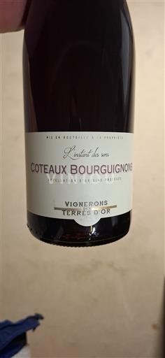 Burgundi Burgundin rinteet Vignerons Terres d'Or L'instant des sens 2023