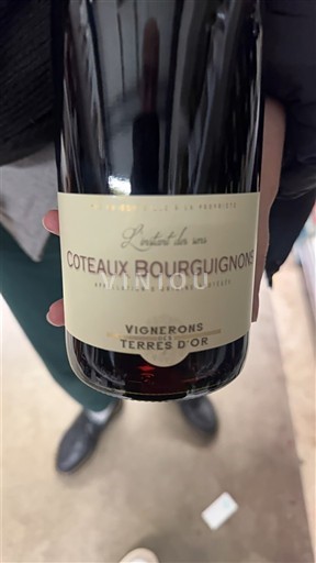 Borgogna Coteaux borgognoni Vignerons Terres d'Or L'instant des sens 2023