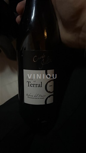 Castille et León Ribera del Duero Altos del Terral Julia 2014