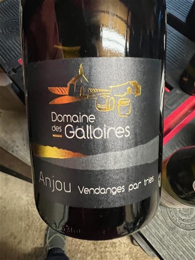 Valle del Loira Anjou Domaine S Galloires Vendanges par tries Sin añada