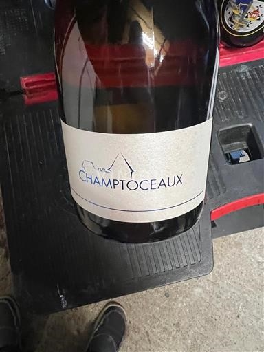 Loiretal Nicht spezifiziert Champtoceaux Ohne Jahrgang