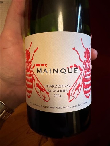 Patagonia Not Specified Mainqué 2024