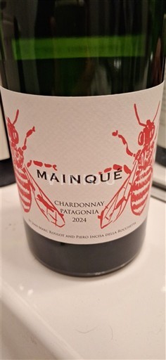 Patagonia Non specificato Mainqué 2024