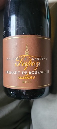 Burgundi Crémant de Bourgogne Céline & Laurent Tripoz Nature Ei vuosikertaa