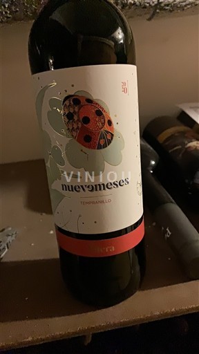 Castille et León Ribera del Duero Nuevemeses 2020