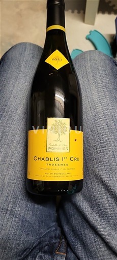 Bourgondië Chablis Premier Cru Chardonnay Troëmes 2021