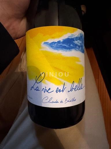 Burgundsko Nespecifikováno François de Nicolay La vie est belle 2023