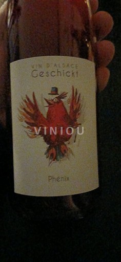 Elsass Geschickt Phénix 2023