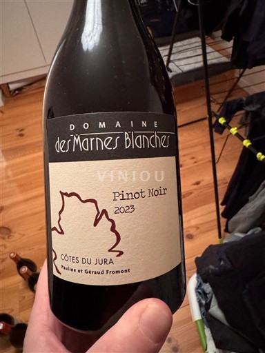 Jura Côtes-du-jura Domaine S Marnes Blanches Pinot Noir 2023