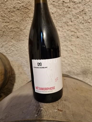 South West Madiran Domaine Montblanc metamorphose 2022