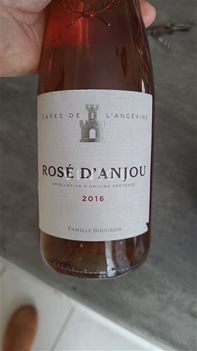 Vallée de la Loire Rosé-d'anjou Caves de l'Angevine 2016