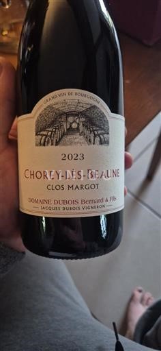 Borgoña Chorey-lès-Beaune Domaine Bois Bernard & Fils Clos Margot 2023